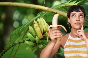 Humans are tropical frugivores