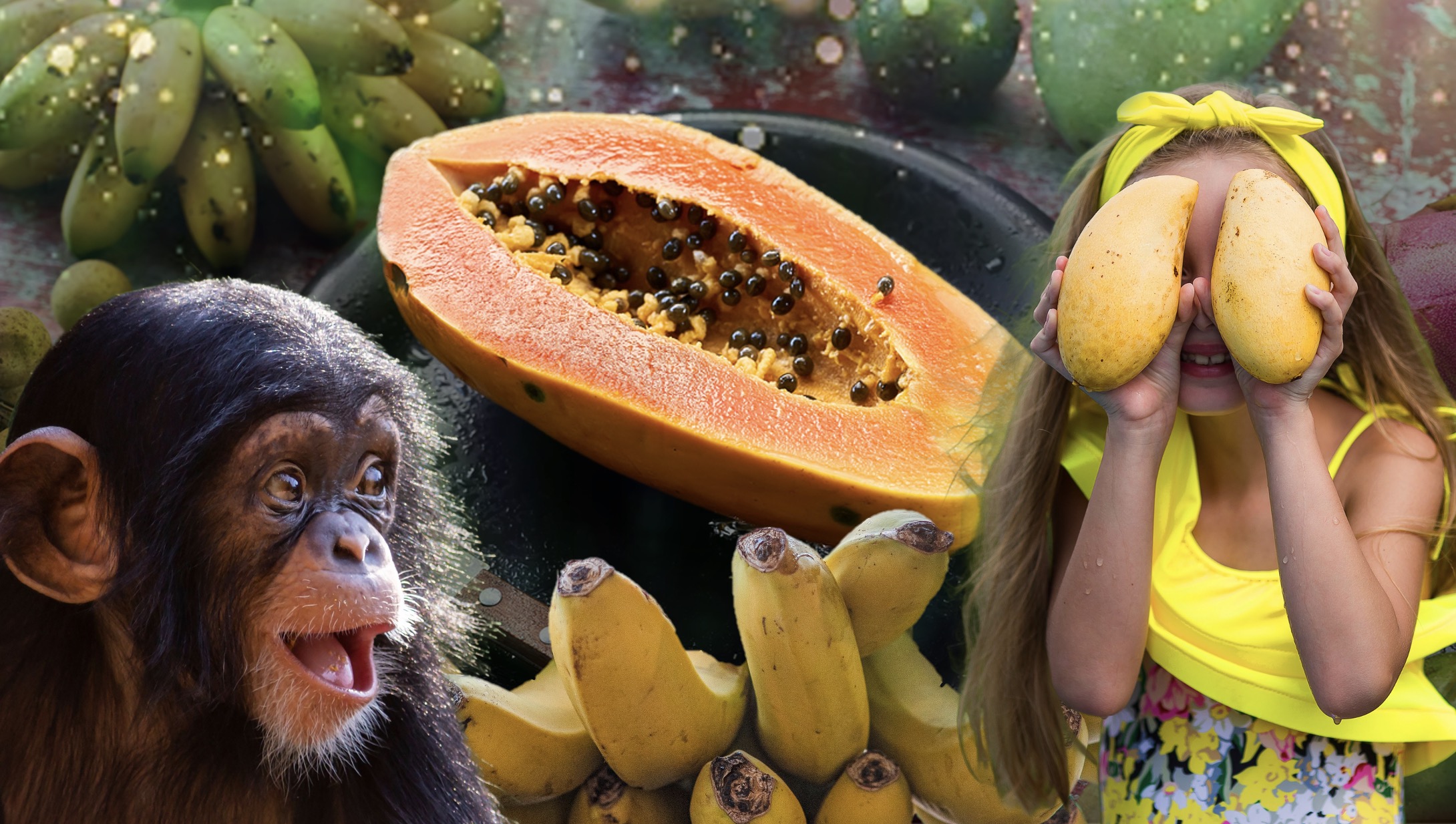 Fruitbased Diets What Is Frugivore and Fruitarian? What Are the