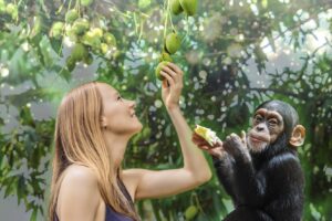 Fruits are our evolutionary foods